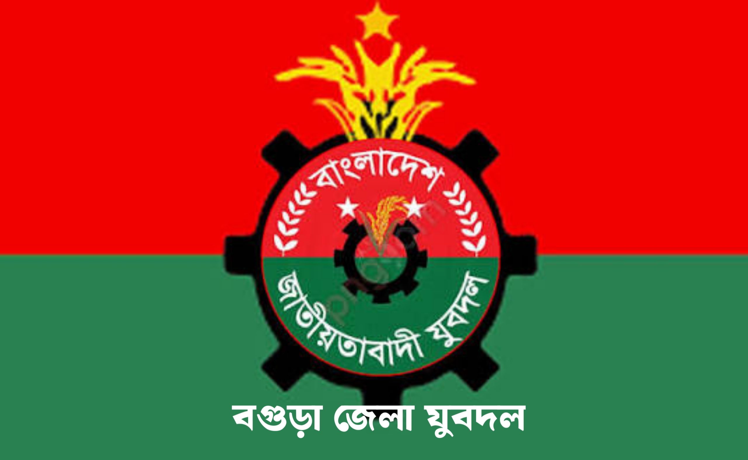যুবদলের ৪৮তম প্রতিষ্ঠাবার্ষিকী উপলক্ষে ২৭ অক্টোবর বগুড়ায় বর্ণাঢ্য র‍্যালি ও সমাবেশ
