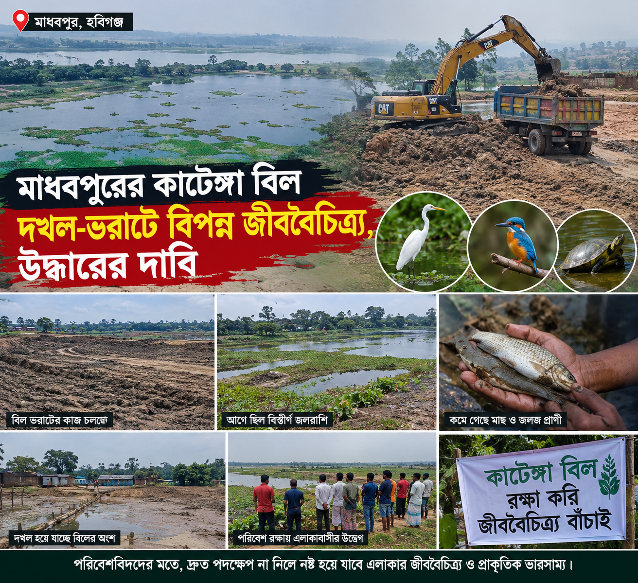 মাধবপুরের কাটেঙ্গা বিল দখল-ভরাটে বিপন্ন জীববৈচিত্র্য, উদ্ধারের দাবি